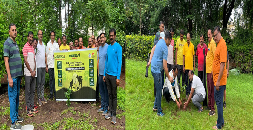 Tree Plantation